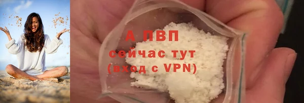 стаф Абаза