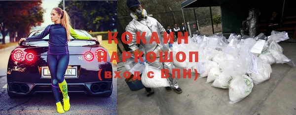 молекула духа Алексин