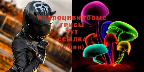 стаф Абаза